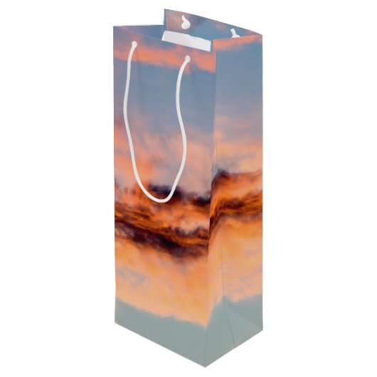 アトラクション消費ワイン抱き枕 ワインギフトバッグ (裏面アングル)