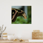 アトラスの翼プリント ポスター (キッチン)