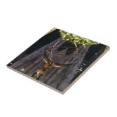 アトラス&セントパトリック大聖堂 –  タイル (側面)