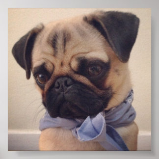 アトラス ポスター