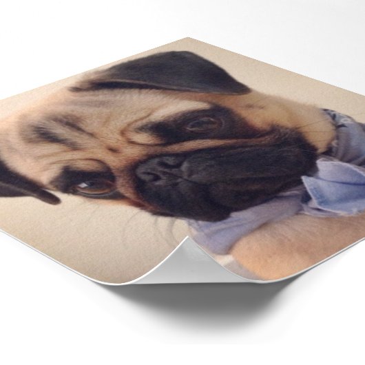 アトラス ポスター (角)