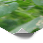 アトラス・モスプリント ポスター (角)