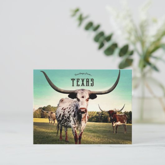 アトランタにロングホーン・キャトルテキサス州 ポストカード (スタンド正面)