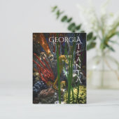 アトランタジョージアシーホース ポストカード (スタンド正面)