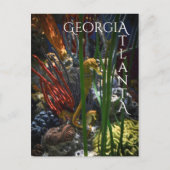 アトランタジョージアシーホース ポストカード (正面)