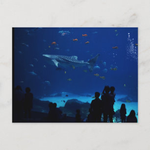 アトランタジョージア州水族館 ポストカード