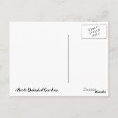 アトランタ植物園はがき ポストカード (裏面)