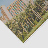 アトランティスやし、アブダビ 薄葉紙 (詳細)