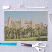 アトランティスやし、アブダビ 薄葉紙 (クラフト)