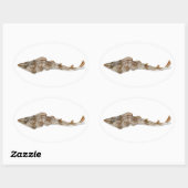 アトランティックギタフィッシュのシール 楕円形シール (シート)