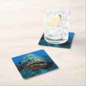 アトランティックゴリアスハタ スクエアペーパーコースター (インサイチュ)