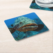 アトランティックゴリアスハタ スクエアペーパーコースター (アングル)