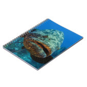 アトランティックゴリアスハタ ノートブック (左側)