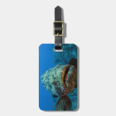 アトランティックゴリアスハタ ラゲッジタグ (正面縦)