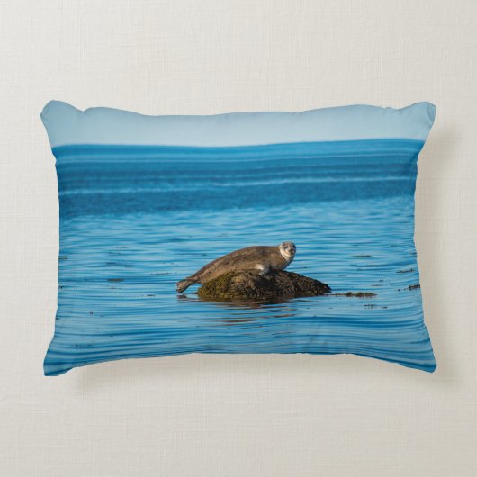 アトランティックハーバーシール アクセントクッション (正面)