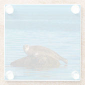 アトランティックハーバーシール ガラスコースター (裏面)