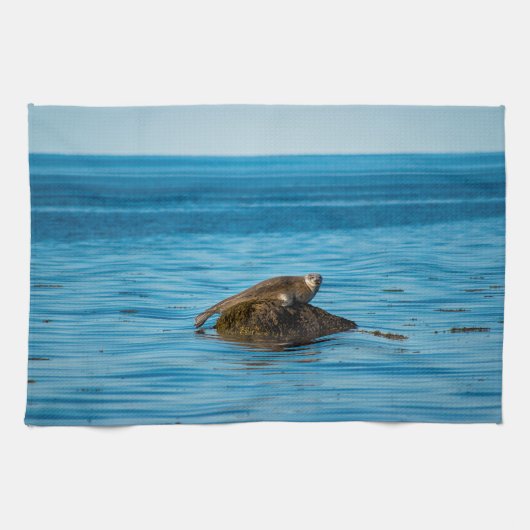 アトランティックハーバーシール キッチンタオル (横)