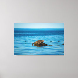 アトランティックハーバーシール キャンバスプリント