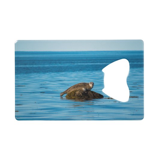 アトランティックハーバーシール クレジットカード栓抜き (正面(横))