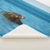 アトランティックハーバーシール シェルパブランケット (3/4)