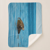 アトランティックハーバーシール シェルパブランケット (正面)