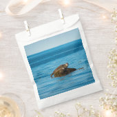 アトランティックハーバーシール フェイバーバッグ (クリップ留めされた状態)