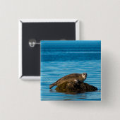 アトランティックハーバーシール 缶バッジ (正面&裏面)