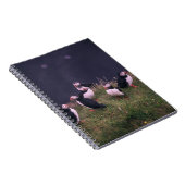 アトランティックパフィンノート ノートブック (右側)