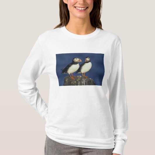 アトランティックパフィン Tシャツ (正面)