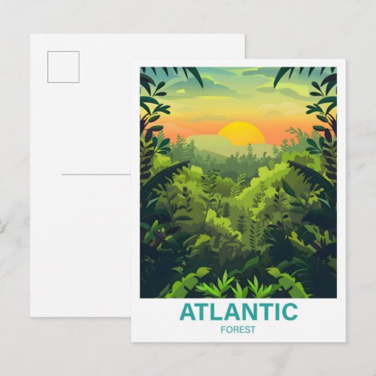 アトランティックフォレストイラストレーション旅行 ポストカード (正面/裏面)
