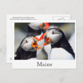 アトランティックプフィンメーンコースト ポストカード (正面/裏面)