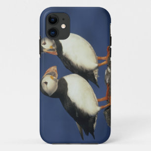 アトランティック・パフィン iPhone 11 ケース