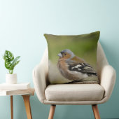 アトリ(WILD: Fringilla coelebs) クッション (椅子)
