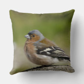 アトリ(WILD: Fringilla coelebs) クッション (裏面)