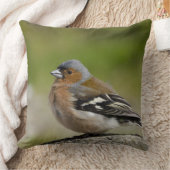 アトリ(WILD: Fringilla coelebs) クッション (ブランケット)