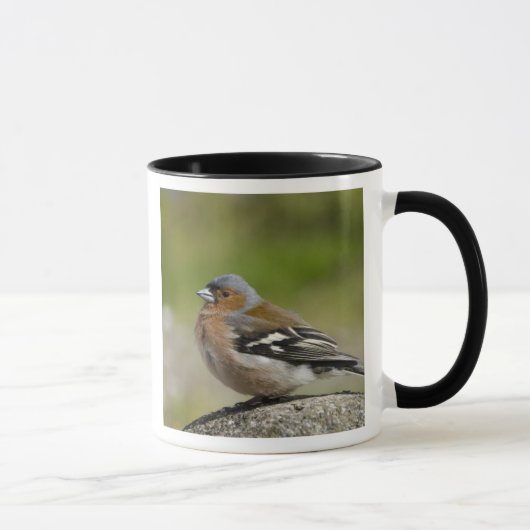 アトリ(WILD: Fringilla coelebs) マグカップ (右)