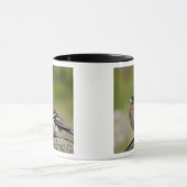 アトリ(WILD: Fringilla coelebs) マグカップ (中央)