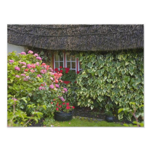 アドエアの茅葺き小屋, リメリック州, フォトプリント            (正面)
