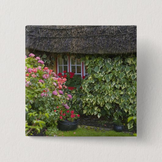 アドエア、リメリック県の茅葺き小屋、 缶バッジ (正面)
