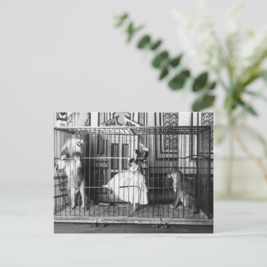 アドギーと彼女の訓練されたライオンズ1897 ポストカード (スタンド正面)