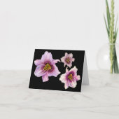 アドバイスからスリータイガーユリ カード (正面)