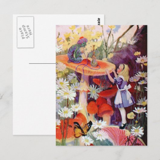 アドバイス ポストカード (正面/裏面)