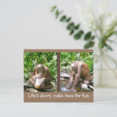 アドバイス:人生は短い、おもしろい ポストカード (スタンド正面)