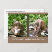 アドバイス:人生は短い、おもしろい ポストカード (正面/裏面)