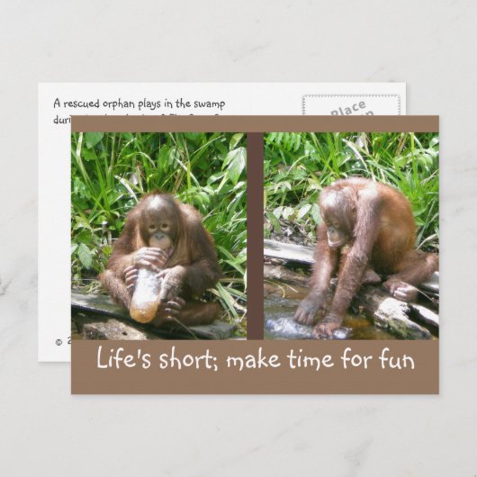 アドバイス:人生は短い、おもしろい ポストカード (正面/裏面)