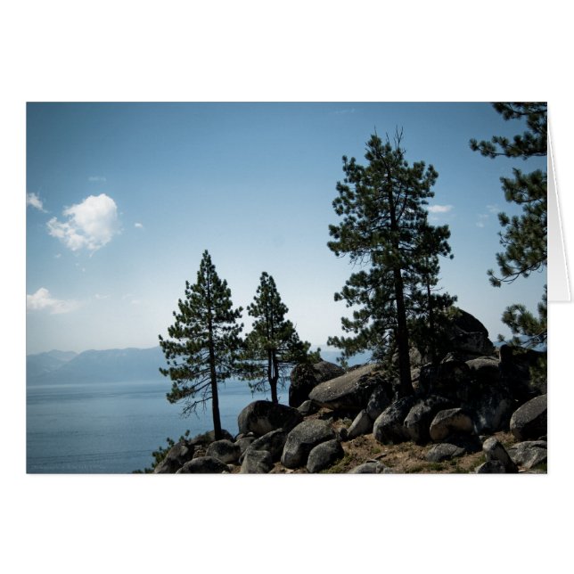 アドバンテージカード (正面横)