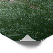 アドビウォール&ガーデナー ポスター (角)