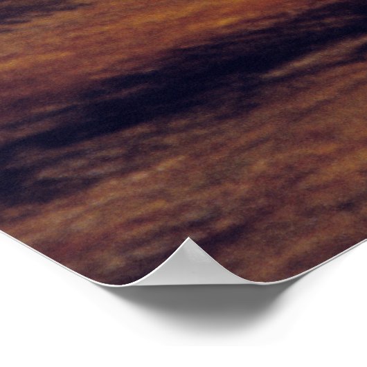 アドビオアシス ポスター (角)