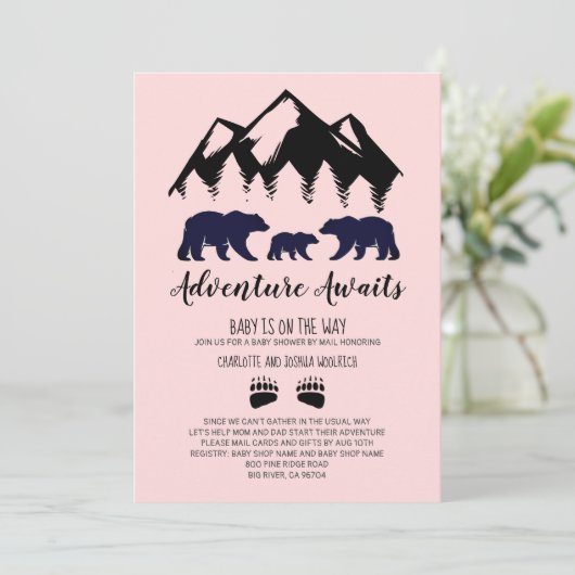 アドベンチャーがベアーズベアーズピンクの赤ちゃんシャワーをメールで待つ 招待状 (スタンド正面)