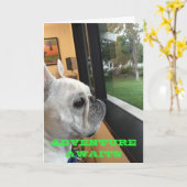 アドベンチャーアウェイツ – ハッピーバースデー カード (黄色い花)